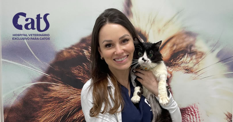 Check-up em gatos: o que é fundamental avaliar em cada fase da vida do seu gatinho