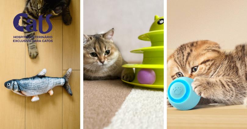 Quais são os melhores brinquedos para gatos? Dicas para estimular e enriquecer o ambiente do seu felino